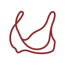 Özellik 2