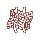 Özellik 5